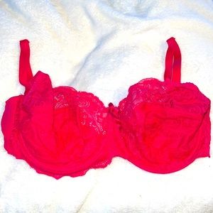Panache Lace Pink Bra Sz 34G